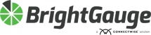 BrightGauge Logo - Business Analytics Partner of Managed Services Australia