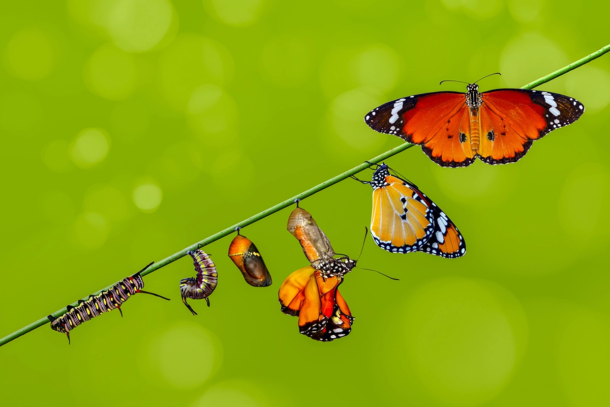 Managed Cloud Services